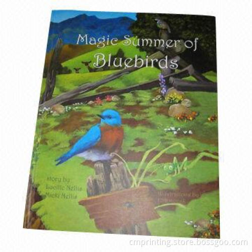 Hardcover Book Printing for Children, Using Thicker Matte Art Paper, Size can be Any